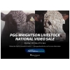 PGG Wrightson Livestock National Video Sale