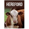 2021 NZ Hereford Magazine