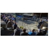 Yearling Bull Sales 2023