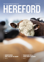 NZ Hereford Magazine 2025